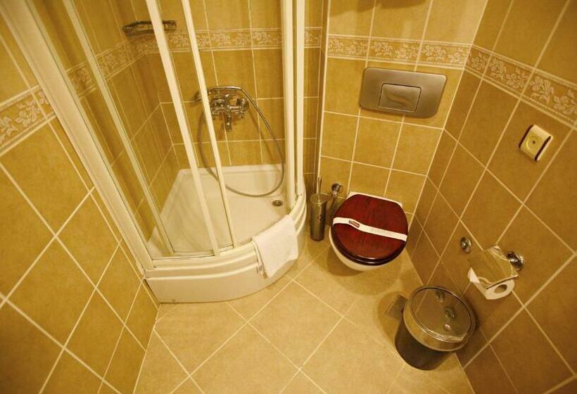 اتاق استاندارد, Uyan   Special Class