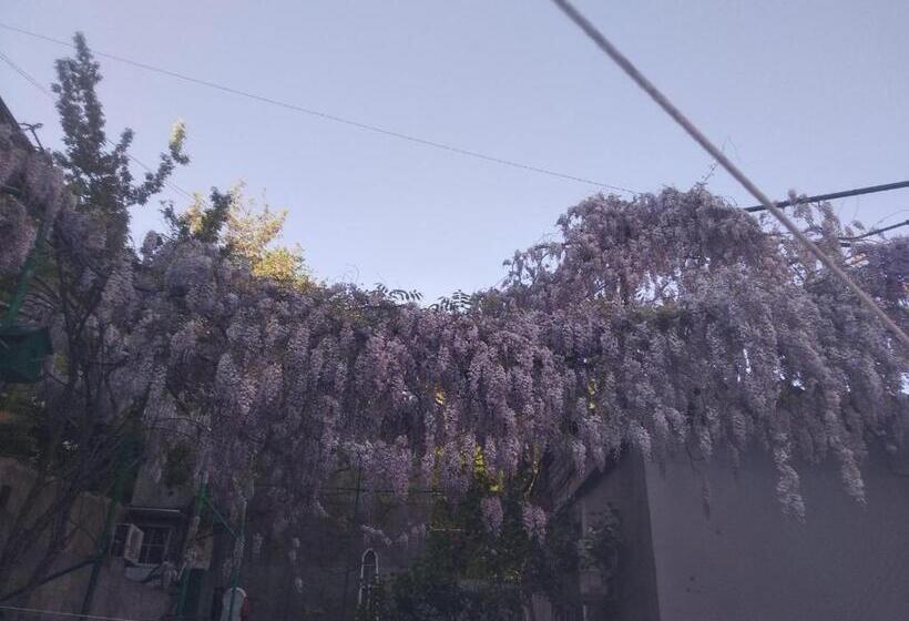 침실 1개 아파트, Apart Hotel Alex