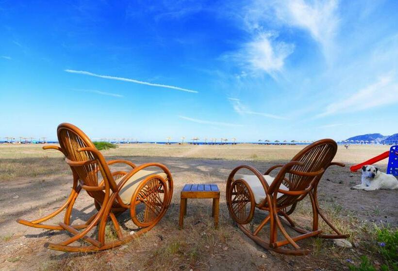 スタンダードバンガロー, Arcadia