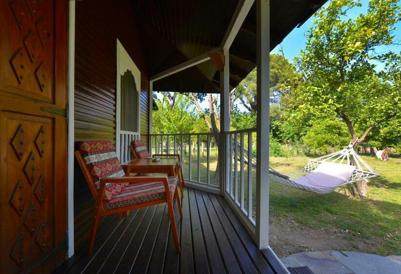 スタンダードバンガロー, Arcadia