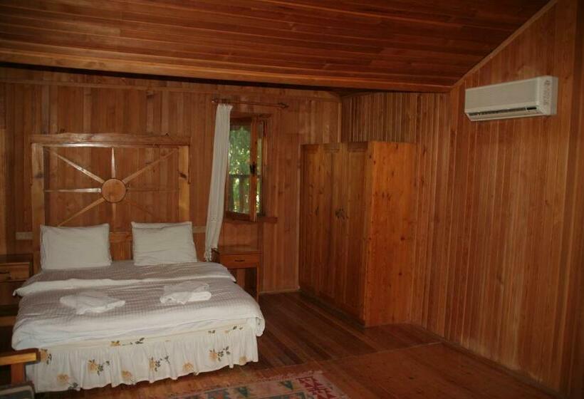 スタンダードバンガロー, Arcadia