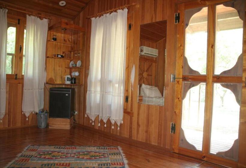 スタンダードバンガロー, Arcadia