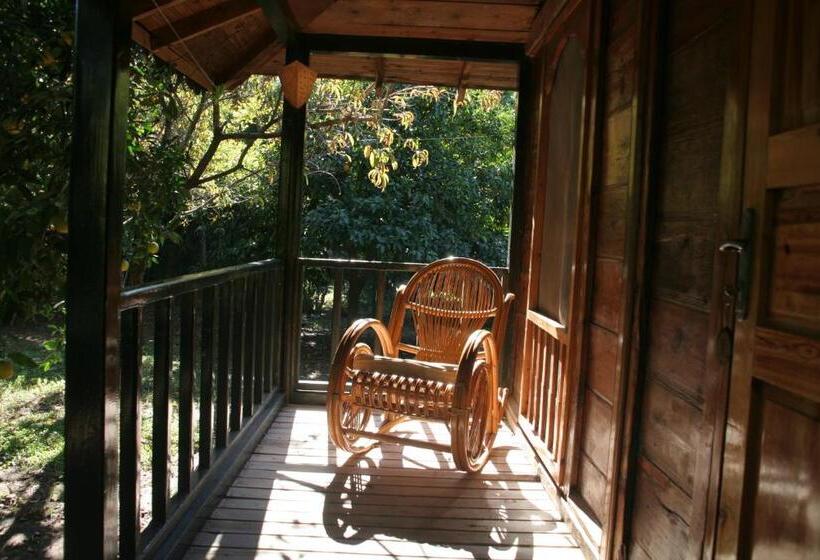 スタンダードバンガロー, Arcadia