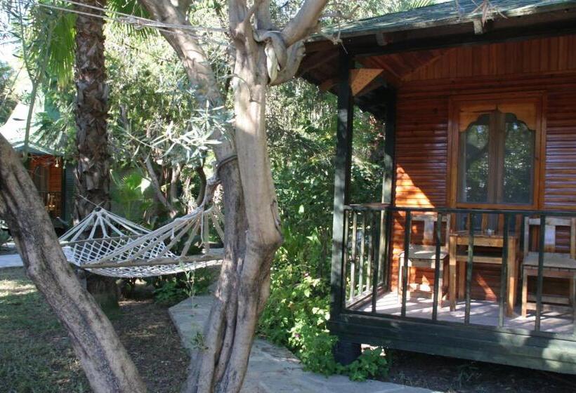 スタンダードバンガロー, Arcadia