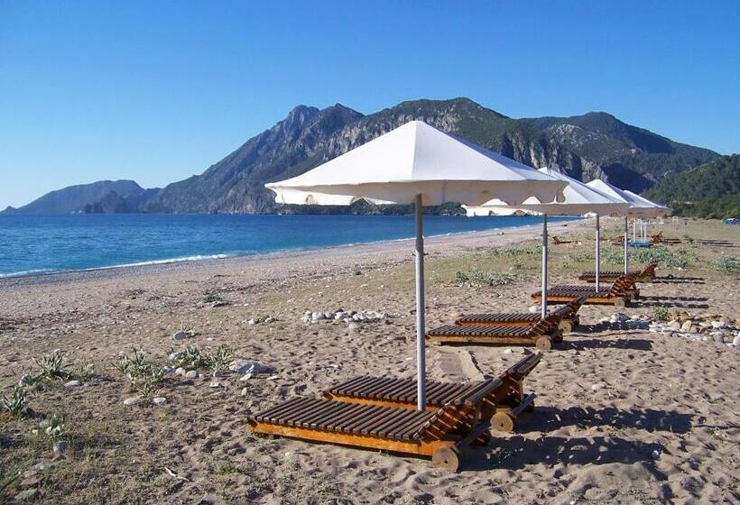 スタンダードバンガロー, Arcadia