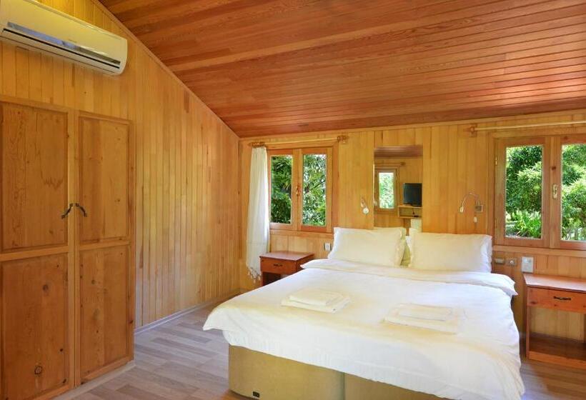 家族用バンガロー, Arcadia