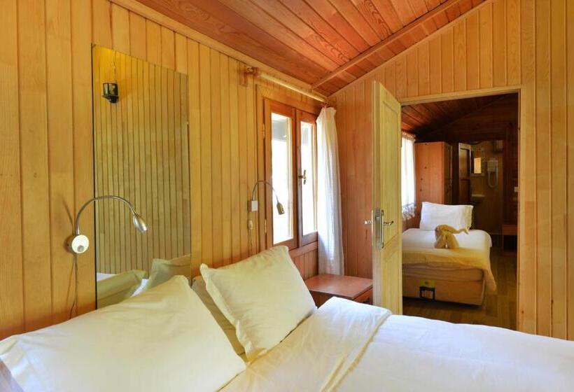 家族用バンガロー, Arcadia