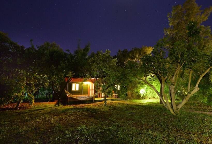 家族用バンガロー, Arcadia