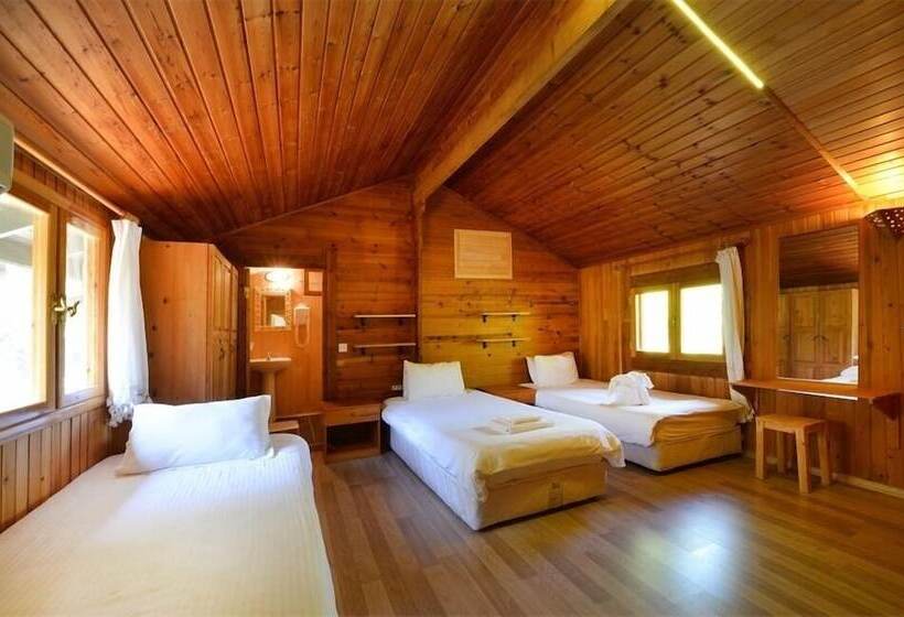 家族用バンガロー, Arcadia