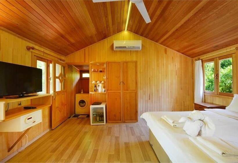 家族用バンガロー, Arcadia