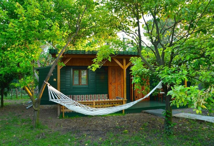 家族用バンガロー, Arcadia