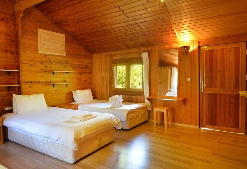 家族用バンガロー, Arcadia