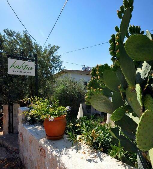 استودیوی استاندارد, Kaktus Beach Apart