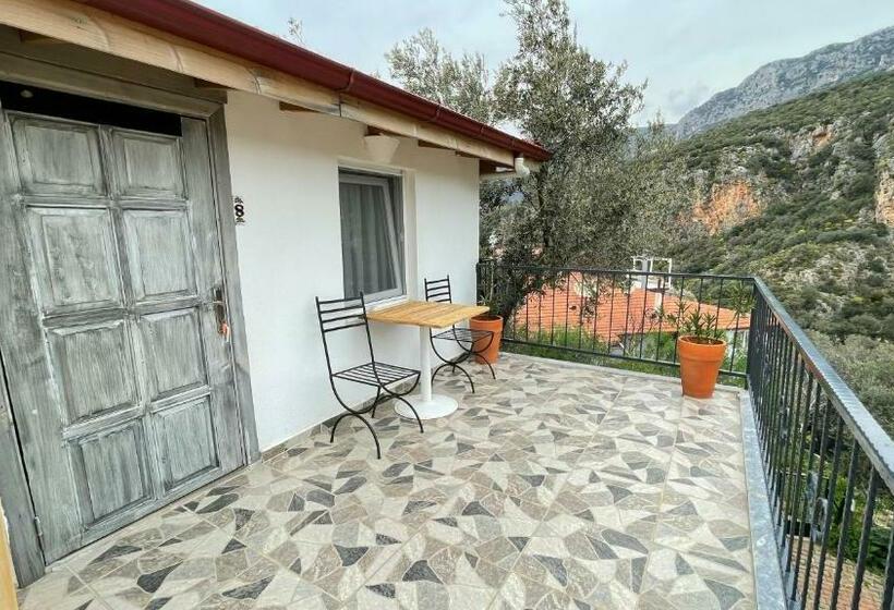 استودیوی استاندارد, Kaktus Beach Apart