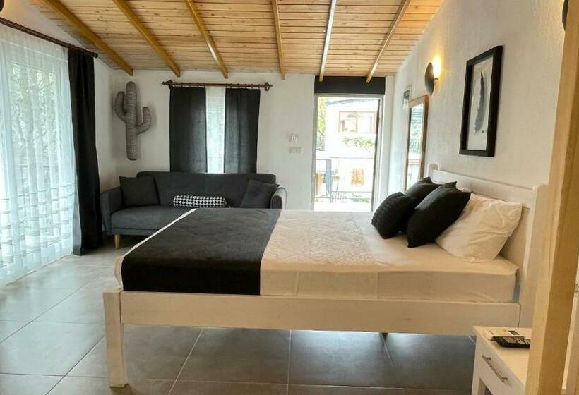 استودیوی استاندارد, Kaktus Beach Apart