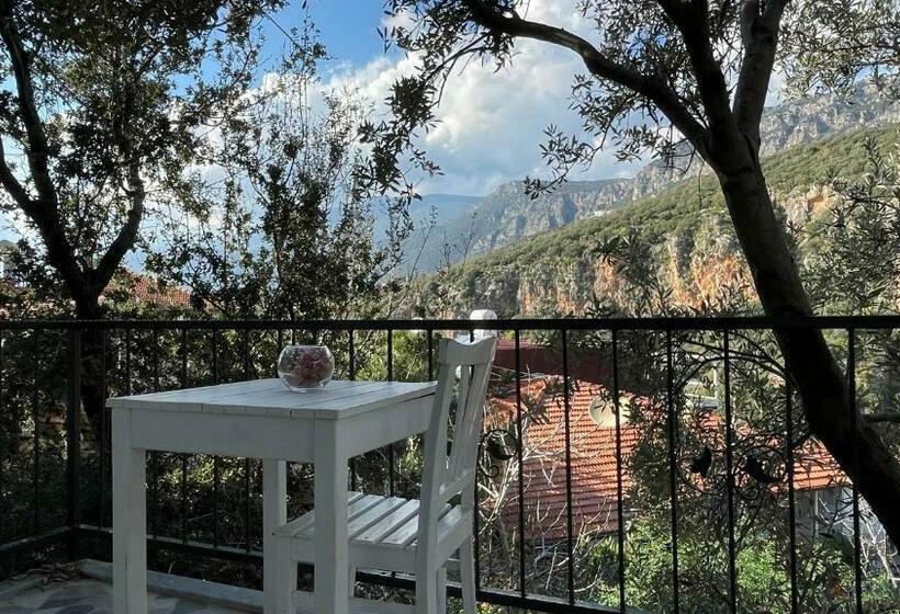 استودیوی استاندارد, Kaktus Beach Apart