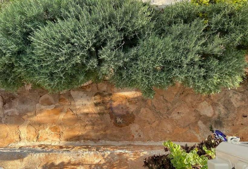 استودیوی استاندارد, Kaktus Beach Apart