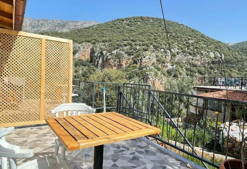 استودیوی استاندارد, Kaktus Beach Apart