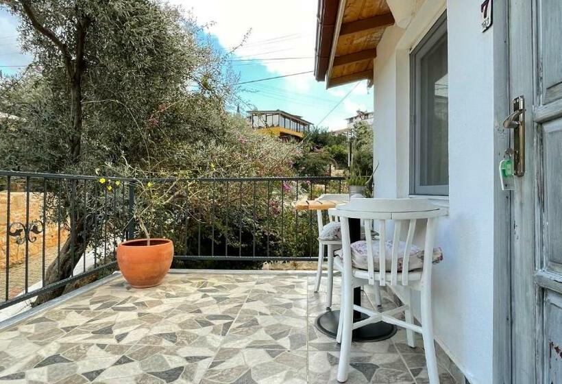 استودیوی استاندارد, Kaktus Beach Apart