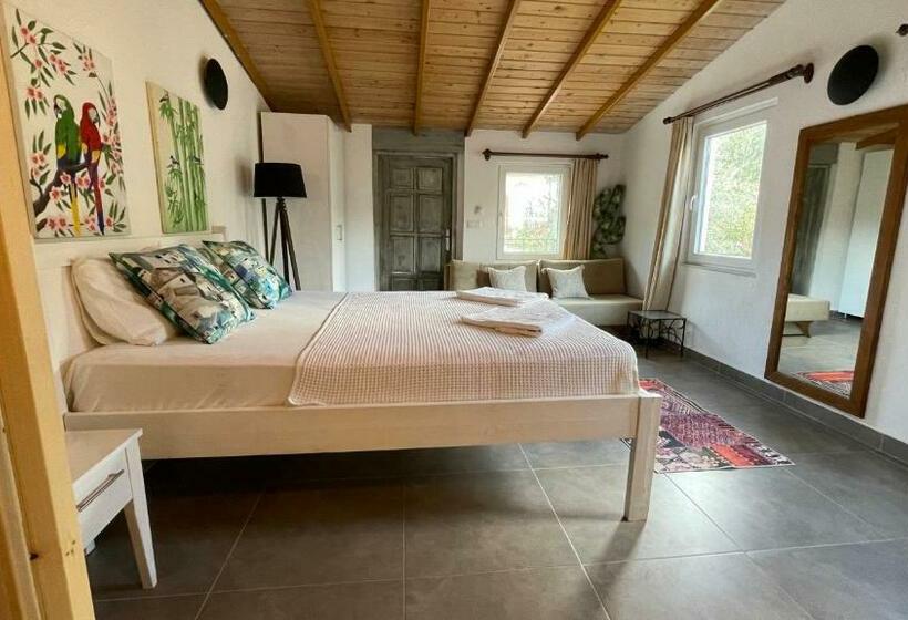 استودیوی استاندارد, Kaktus Beach Apart