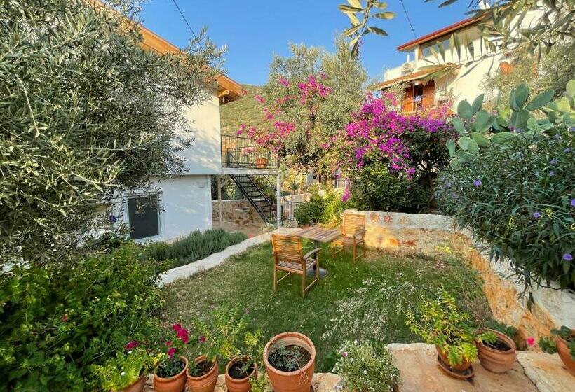 استودیوی استاندارد, Kaktus Beach Apart