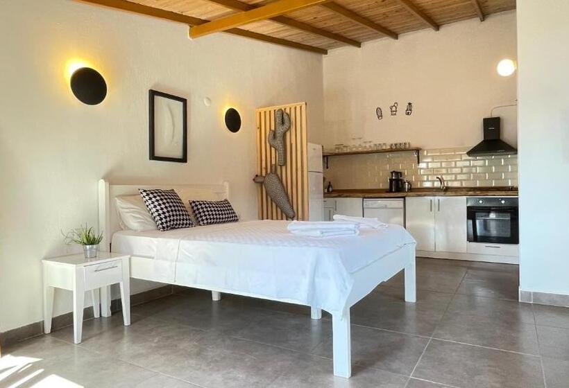 استودیوی استاندارد, Kaktus Beach Apart