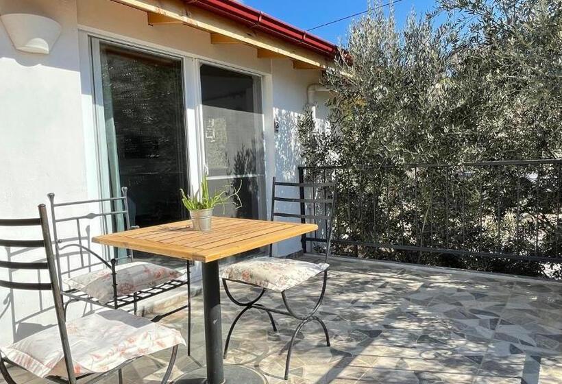 استودیوی استاندارد, Kaktus Beach Apart