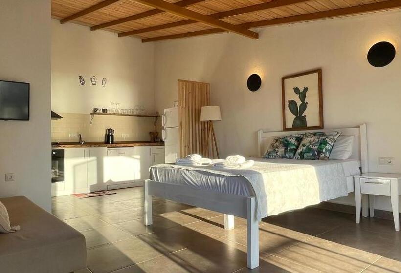 استودیوی استاندارد, Kaktus Beach Apart