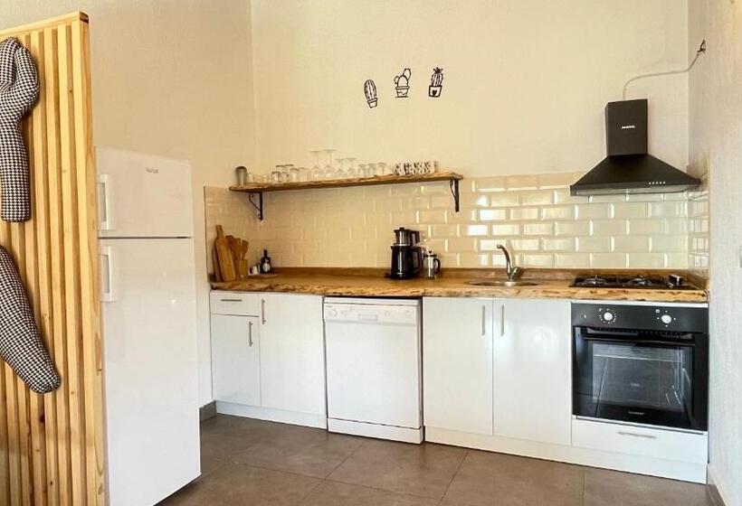 استودیوی استاندارد, Kaktus Beach Apart