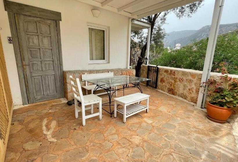 اتاق اکونومی, Kaktus Beach Apart