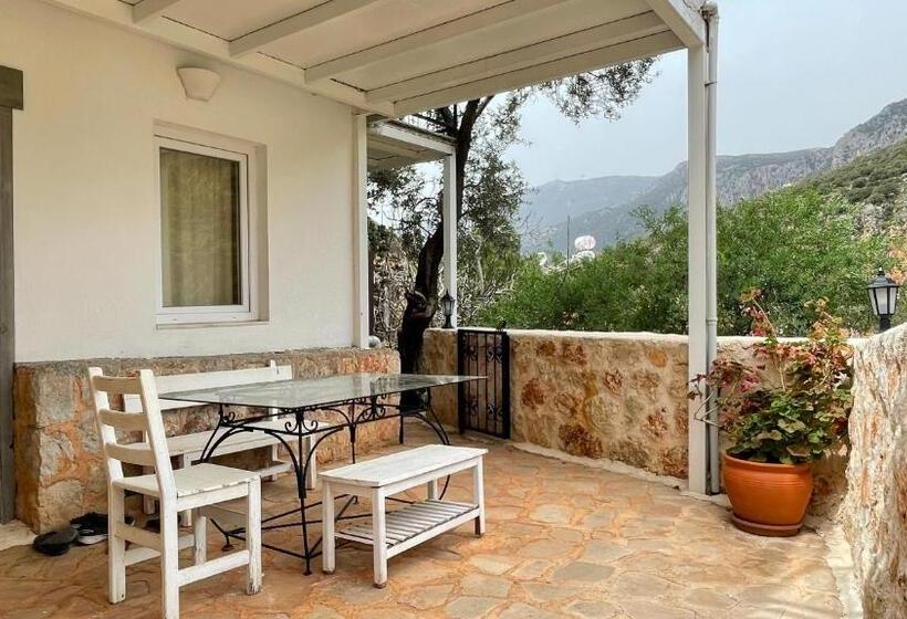 اتاق اکونومی, Kaktus Beach Apart