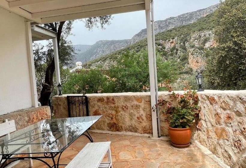 اتاق اکونومی, Kaktus Beach Apart