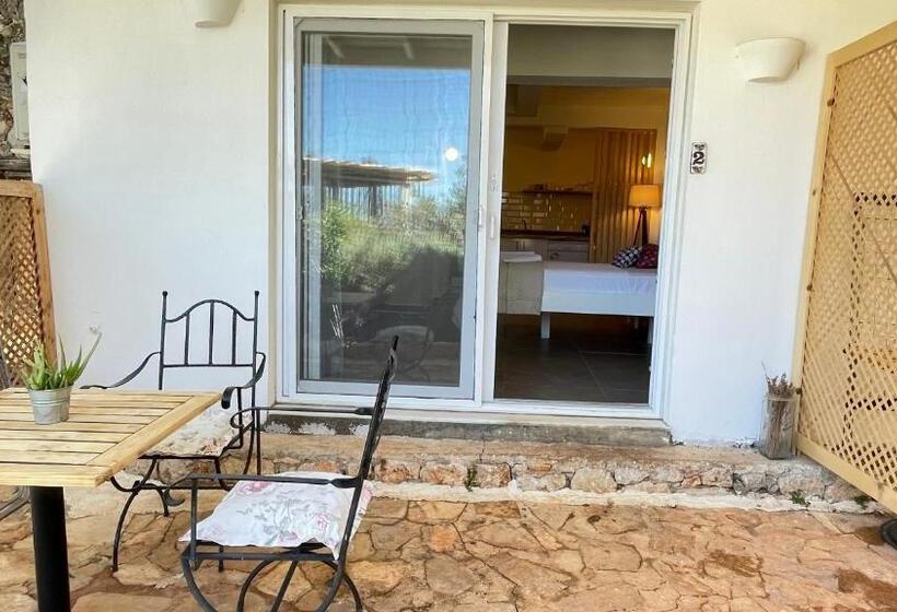 استودیوی استاندارد, Kaktus Beach Apart