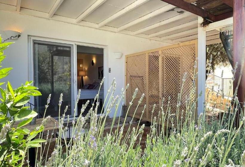 استودیوی استاندارد, Kaktus Beach Apart