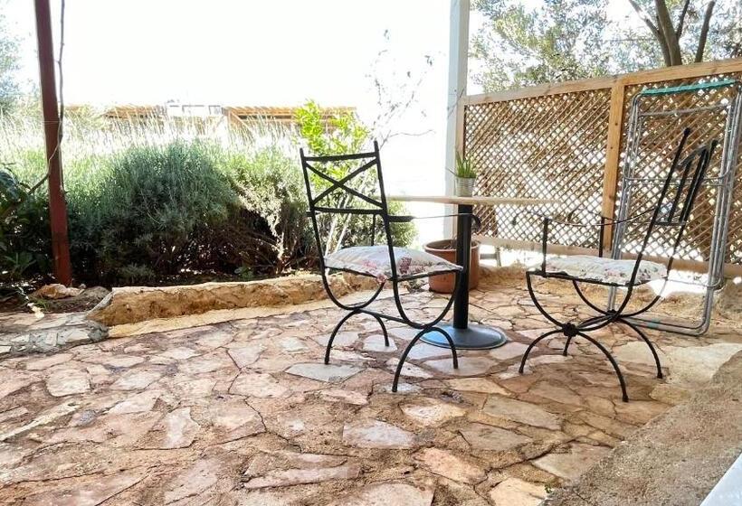 استودیوی استاندارد, Kaktus Beach Apart