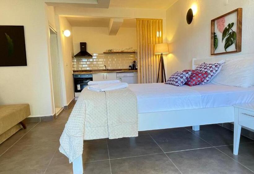 استودیوی استاندارد, Kaktus Beach Apart