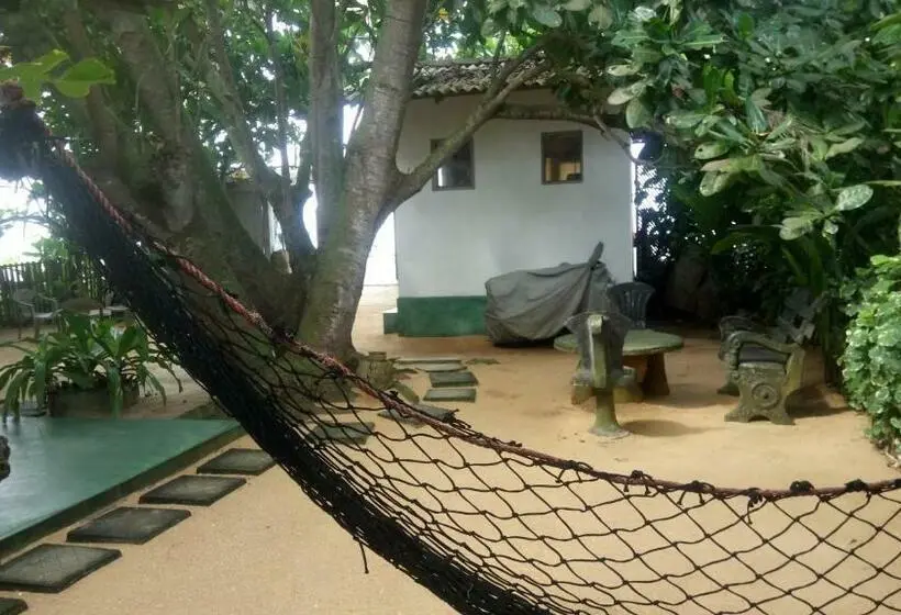 エコノミールーム, Green Villa Beach And Juice Bar