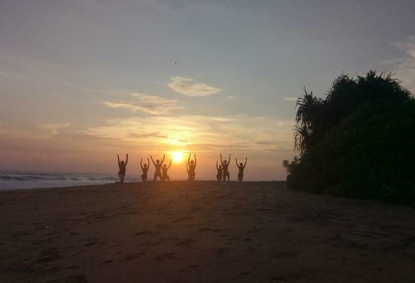 经济房, Green Villa Beach And Juice Bar