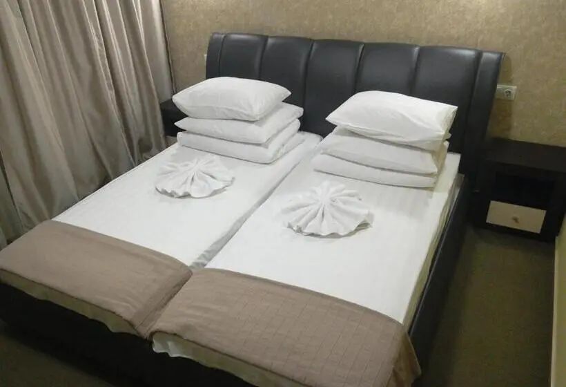 اتاق استاندارد با چشم‌انداز شهر, Guest House At Lesya Ukrainka