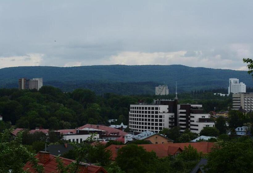 اتاق استاندارد با چشمانداز شهر, Guest House At Lesya Ukrainka