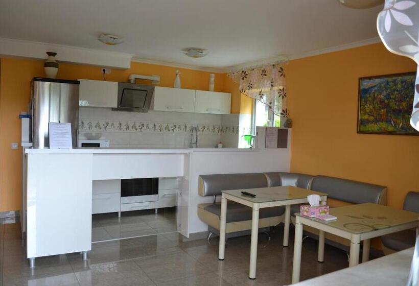 اتاق استاندارد با چشمانداز شهر, Guest House At Lesya Ukrainka