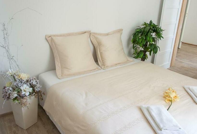 شقة غرفة واحدة, Penzion Apartmány Hradební