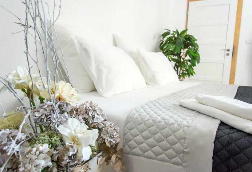 شقة غرفة واحدة, Penzion Apartmány Hradební