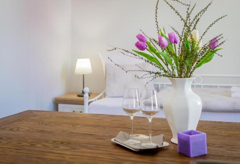 اتاق خانوادگی, Penzion Apartmány Hradební