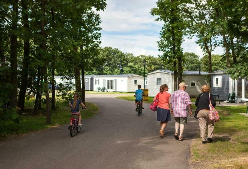 带3个卧室的公寓, Hh Hertenkamp Mobile Home