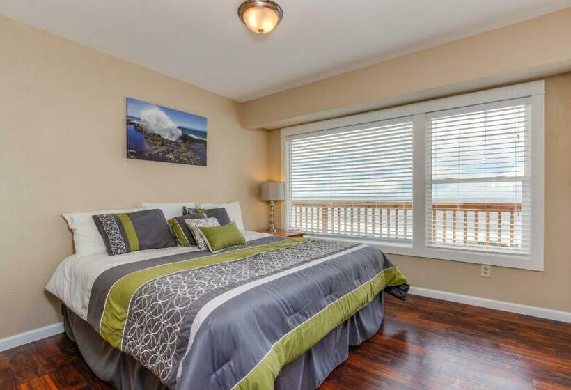 شقة غرفة واحدة, The Whale At Sandstone Point