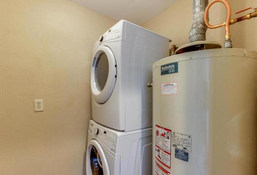 شقة غرفة واحدة, The Whale At Sandstone Point