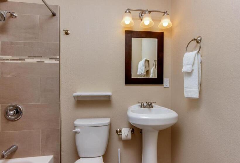 شقة غرفة واحدة, The Whale At Sandstone Point