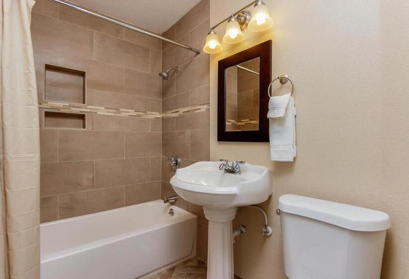 شقة غرفة واحدة, The Whale At Sandstone Point