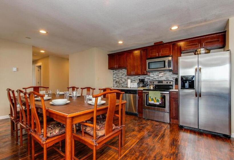 شقة غرفة واحدة, The Whale At Sandstone Point